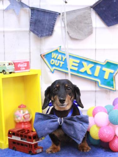 20230413モカちゃん